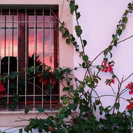 Charming House In