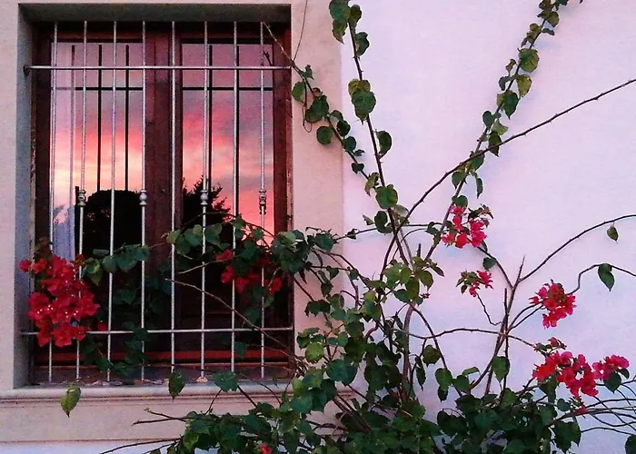 Charming House In
